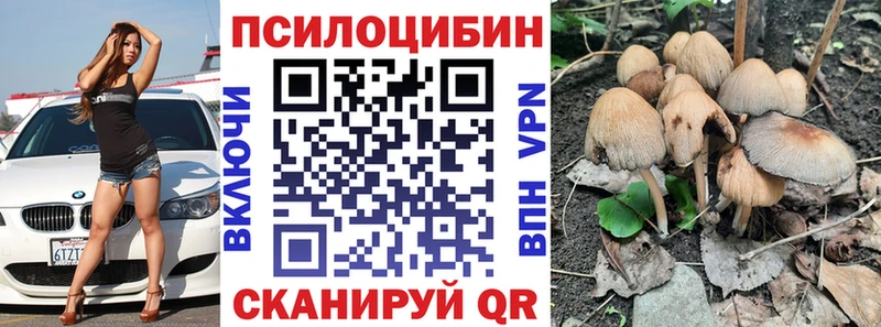 Галлюциногенные грибы GOLDEN TEACHER Чебаркуль